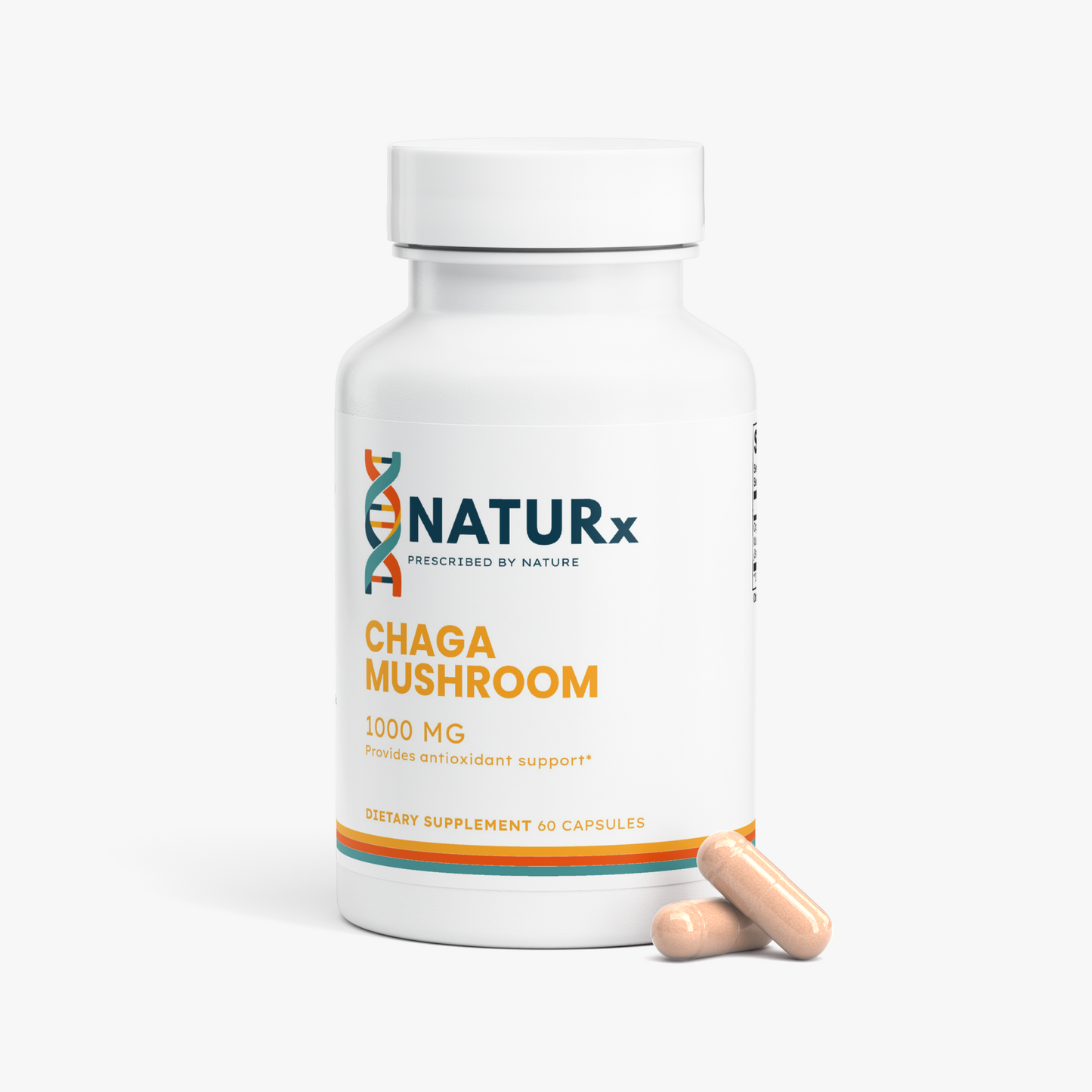 Chaga Mushroom