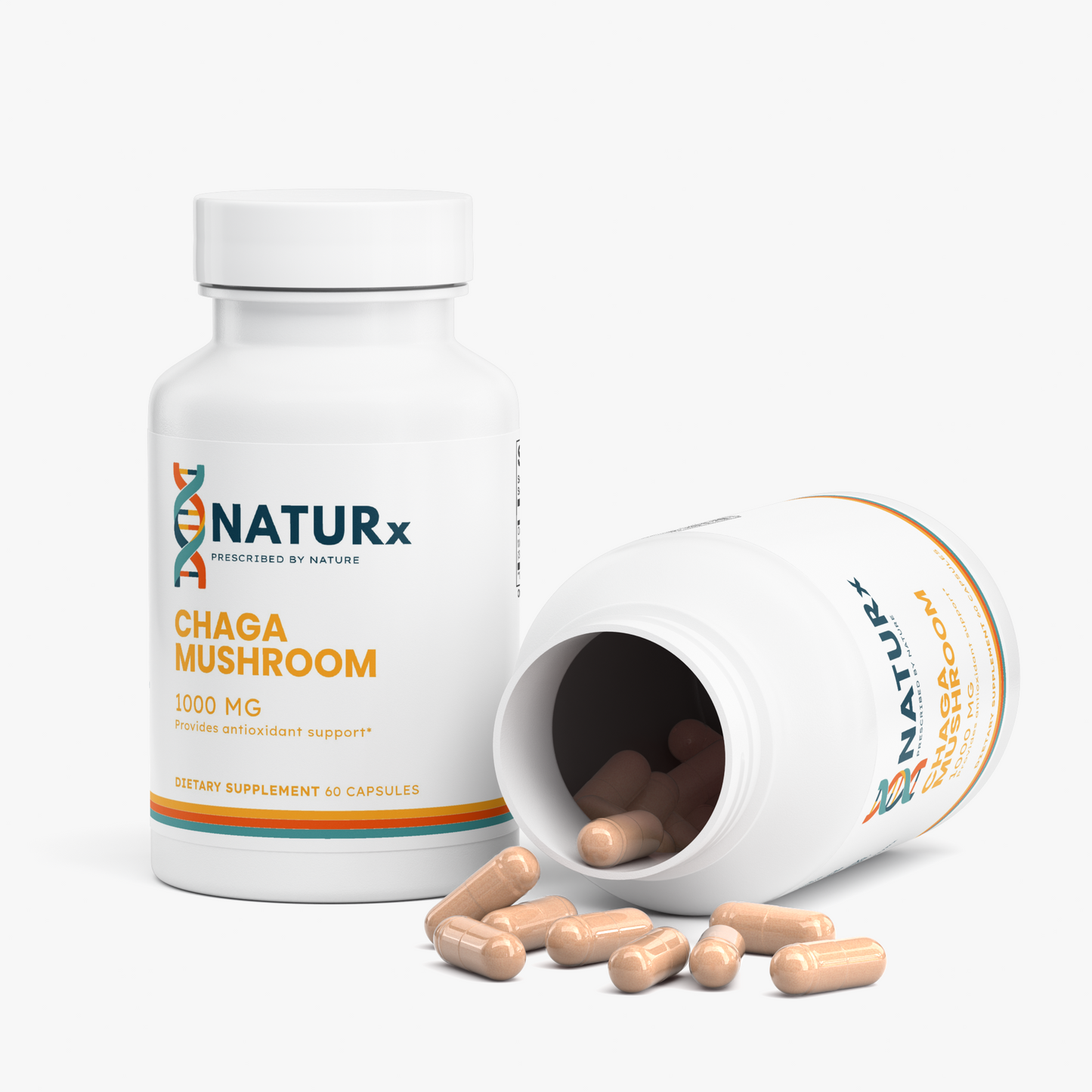 Chaga Mushroom