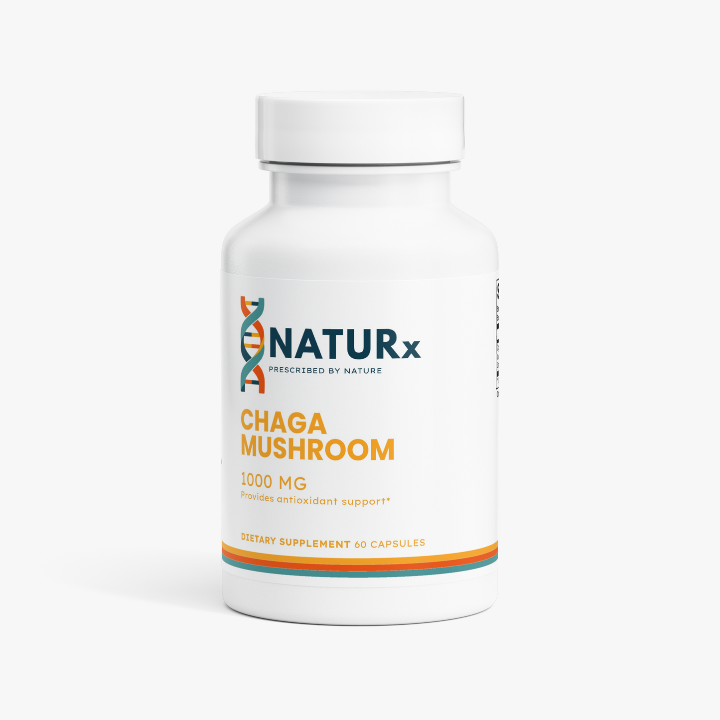 Chaga Mushroom