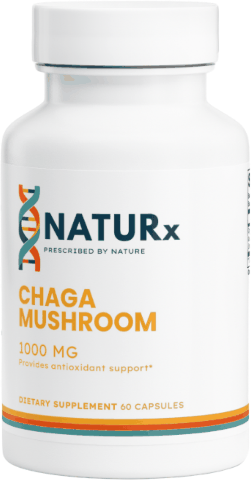 Chaga Mushroom