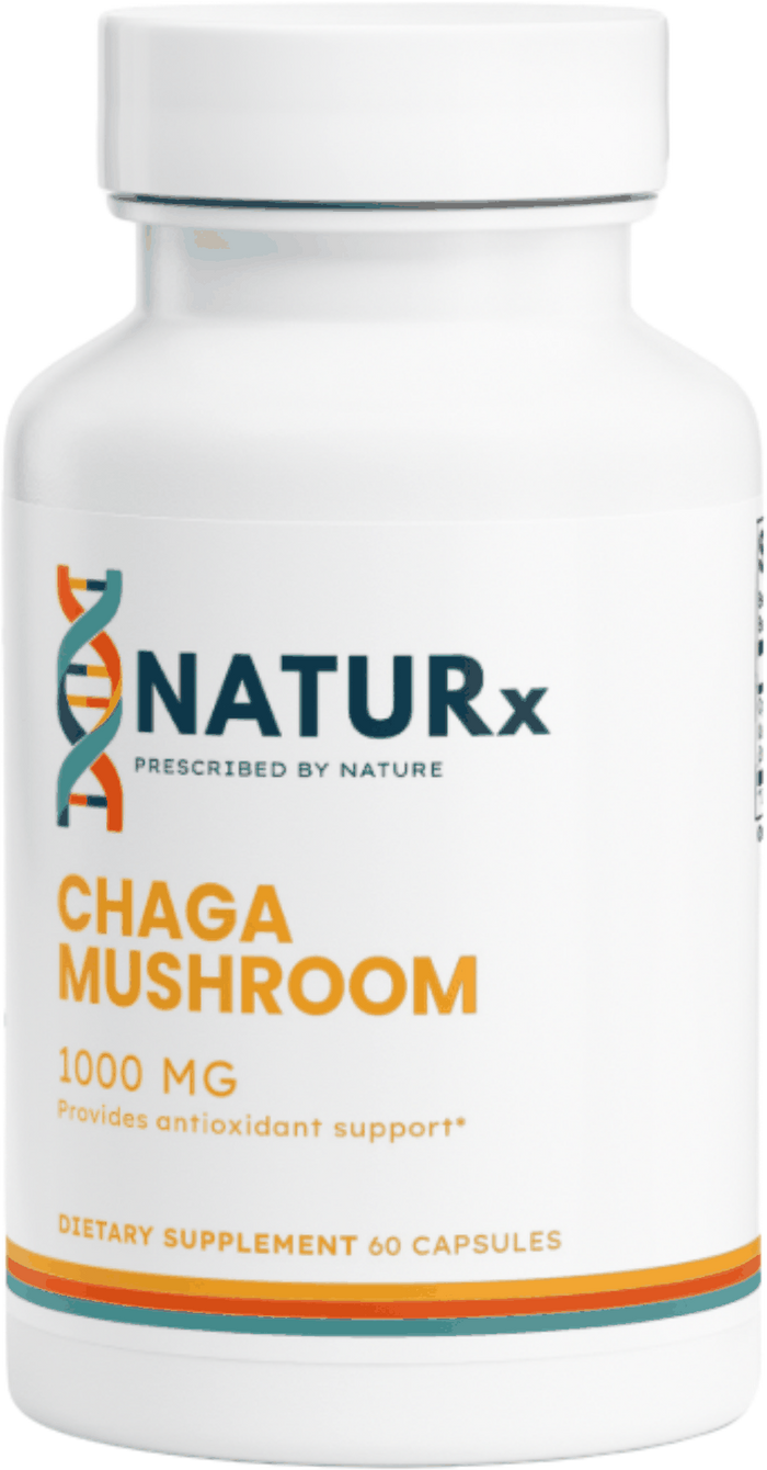Chaga Mushroom
